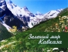 Зелёный мир Кавказа