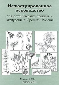 В. Э. Скворцов / Иллюстрированное руководство для ботанических практик и экскурсий в Средней России / Руководство включает 270 видов, широко распространённых в Средней ...