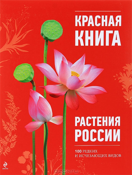 О. В. Скалдина, Н. М. Мелихова / Красная книга. Растения России / Нас с вами окружает удивительный мир растений, многие из которых ...