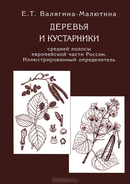 Е. Т. Валягина-Малютина / Деревья и кустарники средней полосы европейской части России / В предлагаемый определитель включено 126 видов ...