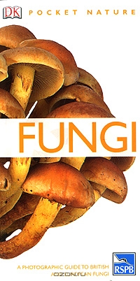 Shelley Evans, Geoffrey Kibby / Fungi / Discover over 450 varieties of fungi found in Britain and Northwest Europe with this new edition, in association with ...