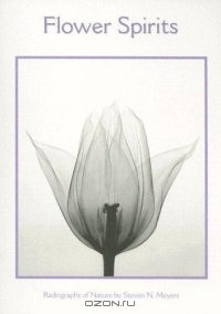 Steven N. Meyers / Flower Spirits Boxed Notecards / Steven N. Meyers utilizes his expertise in radiological techniques to capture flowers and botanicals in invisible light. ...