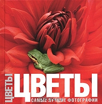 Овидио Гуаита / Цветы. Самые лучшие фотографии / «Все важные этапы нашей жизни отмечены цветами. Они служат ...