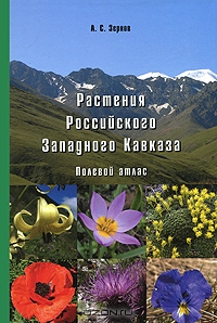 А. С. Зернов / Растения Российского Западного Кавказа. Полевой атлас / Настоящий «Полевой атлас» является руководством для познания ...