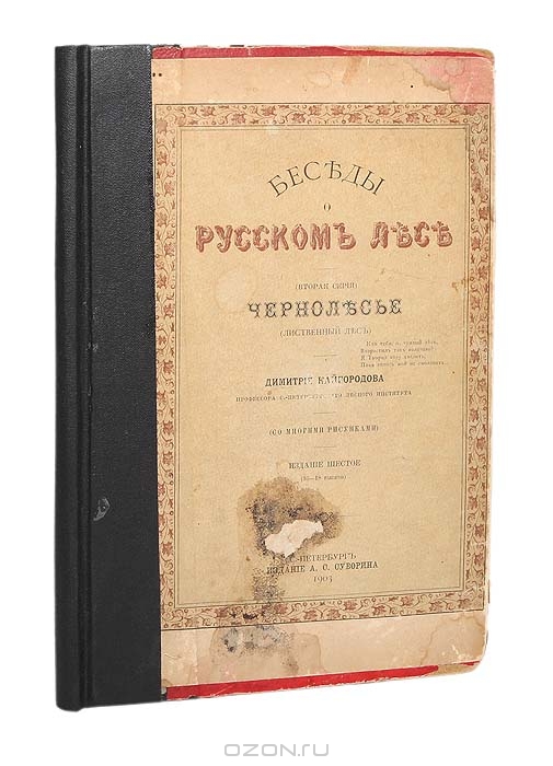 Димитрий Кайгородов / Беседы о русском лесе. Чернолесье (Лиственный лес) / Прижизненное издание. С.-Петербург, 1903 год. Издание А. С. Суворина. ...