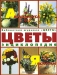 Цветы от Агапантуса до Яснотки. Энциклопедия / Эта прекрасно иллюстрированная энциклопедия растений поможет вам правильно сориентироваться в мире цветов, который так богат и необычайно разнообразен сегодня. Здесь вы найдёте информацию о цветах, не только выращиваемых в средней полосе России, но и привозимых в виде срезки из-за рубежа. В издании 