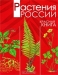 Растения России. Красная книга / В этой книге содержится обширная информация о редких и исчезающих растениях и грибах, рассмотрены особенности их распространения, экологии, происхождения, причины сокращения численности и меры охраны. Большой самостоятельный интерес в книге представляют превосходные оригинальные иллюстрации. Это изд