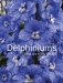 Delphiniums / Gardeners throughout the world love these majestic tall flowers, but few are aware of the many colors and forms that are now available with the burst of new cultivars, several of which have been awarded the RHS Award of Garden Merit. Not just blue, but red, pink, violet, yellow, and white forms exis